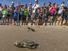 /images/business/Loggerhead hatchlings released as part of a Turtle Dig-900-675_thumbnail.jpg